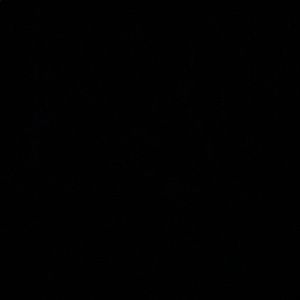 Meet your Posher, Adan